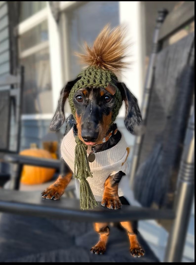 Crochet Dog Beanie